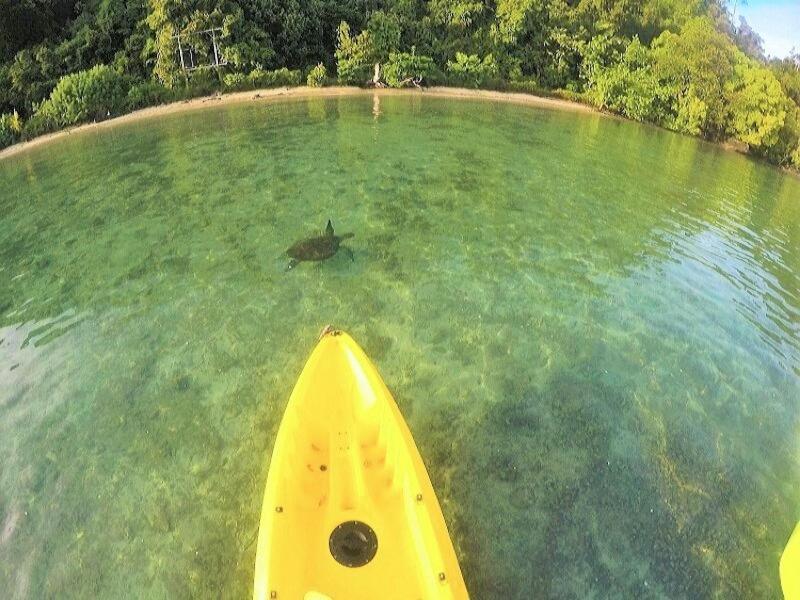 Sumatra Ecolodge Sungaipisang エクステリア 写真