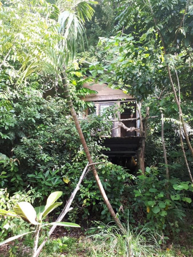 Sumatra Ecolodge Sungaipisang エクステリア 写真