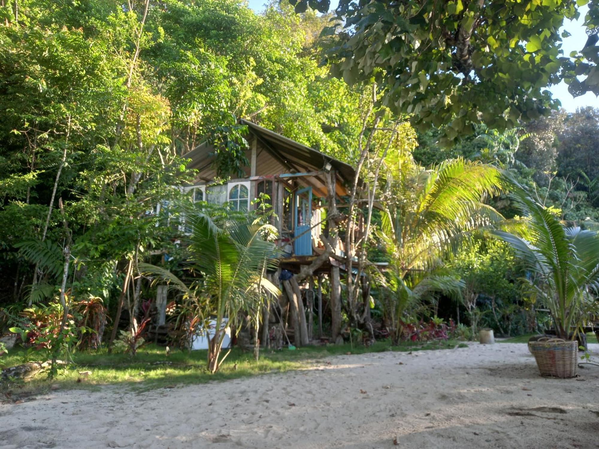 Sumatra Ecolodge Sungaipisang 部屋 写真