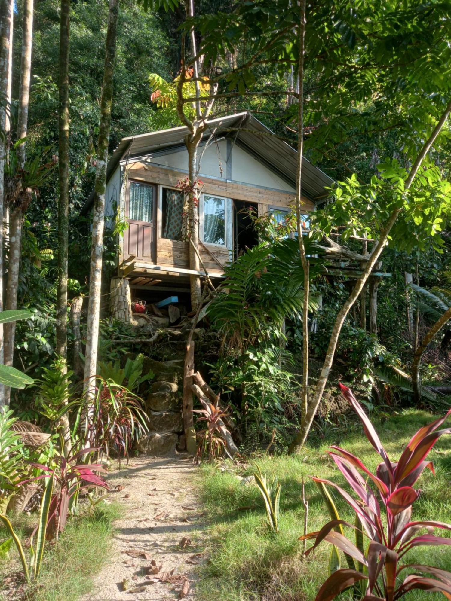 Sumatra Ecolodge Sungaipisang エクステリア 写真