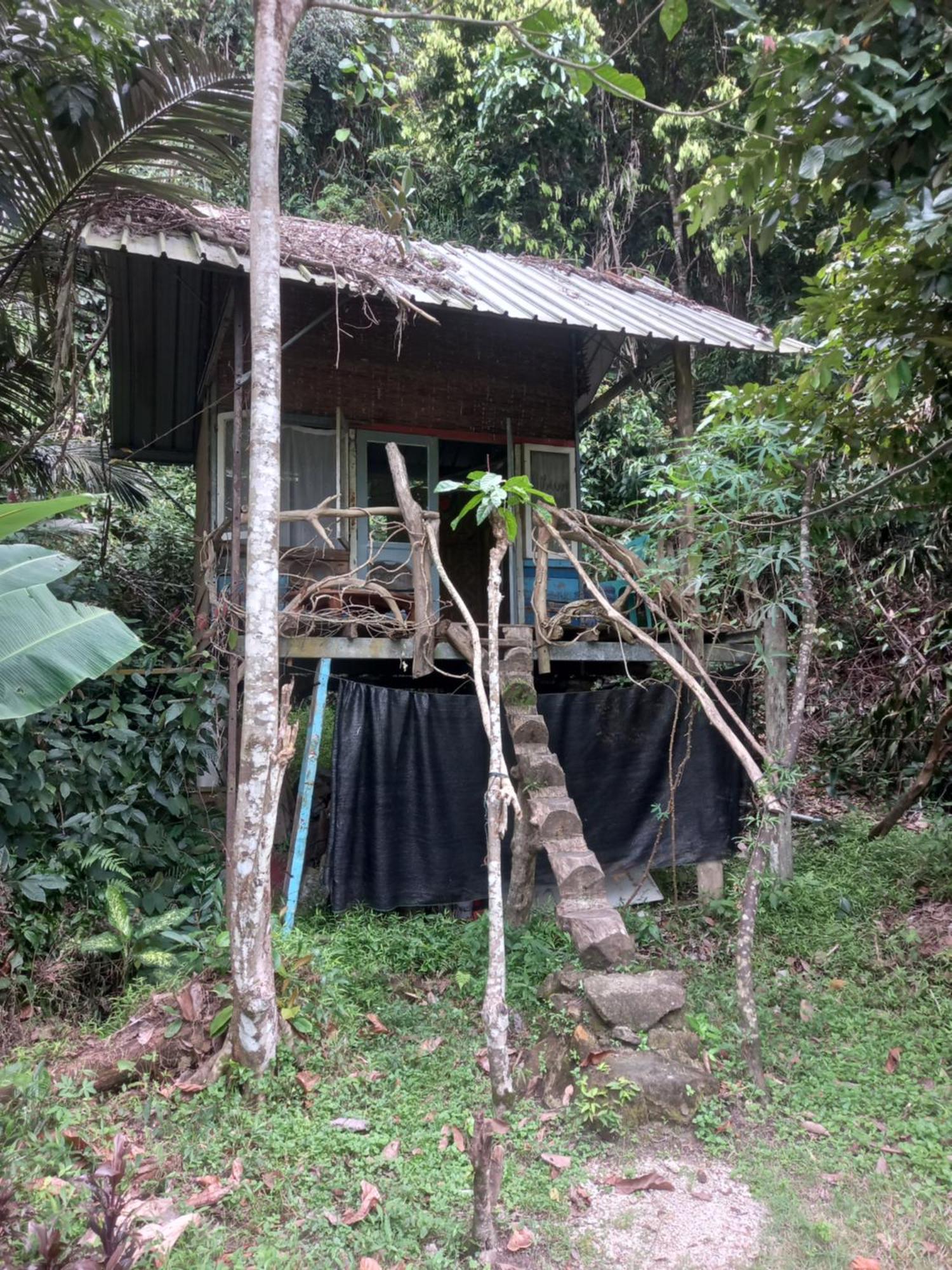 Sumatra Ecolodge Sungaipisang 部屋 写真