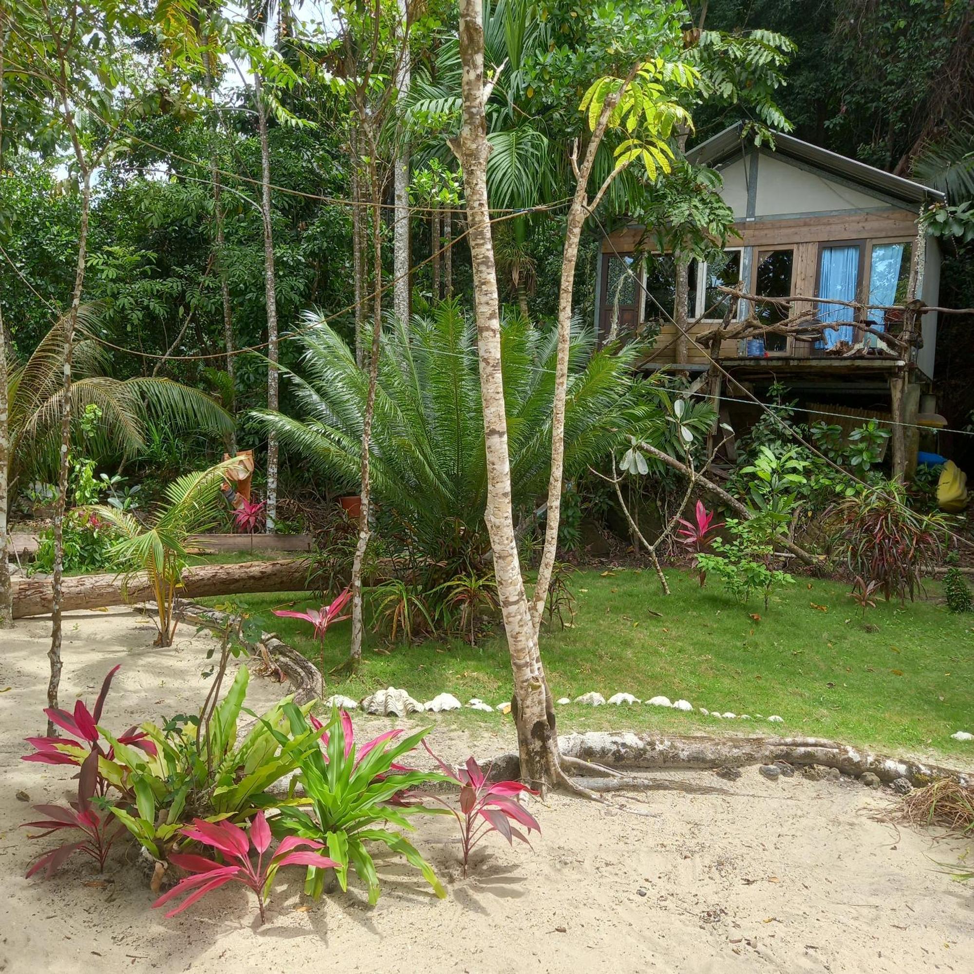Sumatra Ecolodge Sungaipisang 部屋 写真